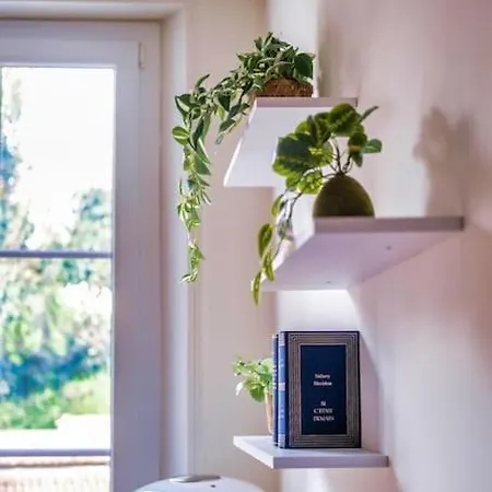 Colorful - Cathedrale